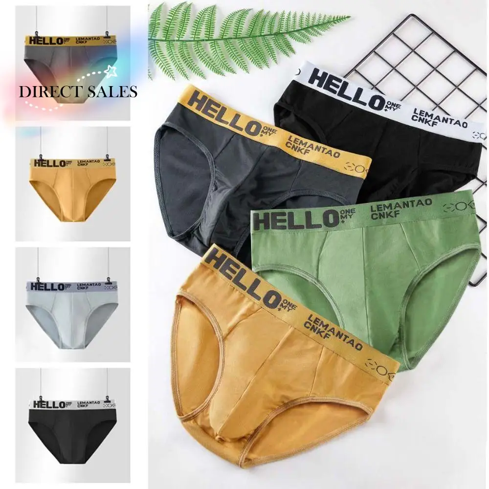 

5PCS Breathable Low Waist Men Thin Panties Male Lingerie Elastic Underwear for Men Briefs Letter Underpants Male