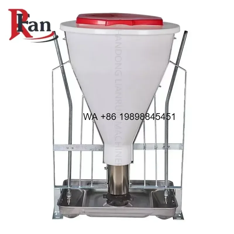 Wmwmnu New Designed Automatic PP Adjustable Dry Wet Feeders for Pig Farm Equipment Weaning Floor Raising