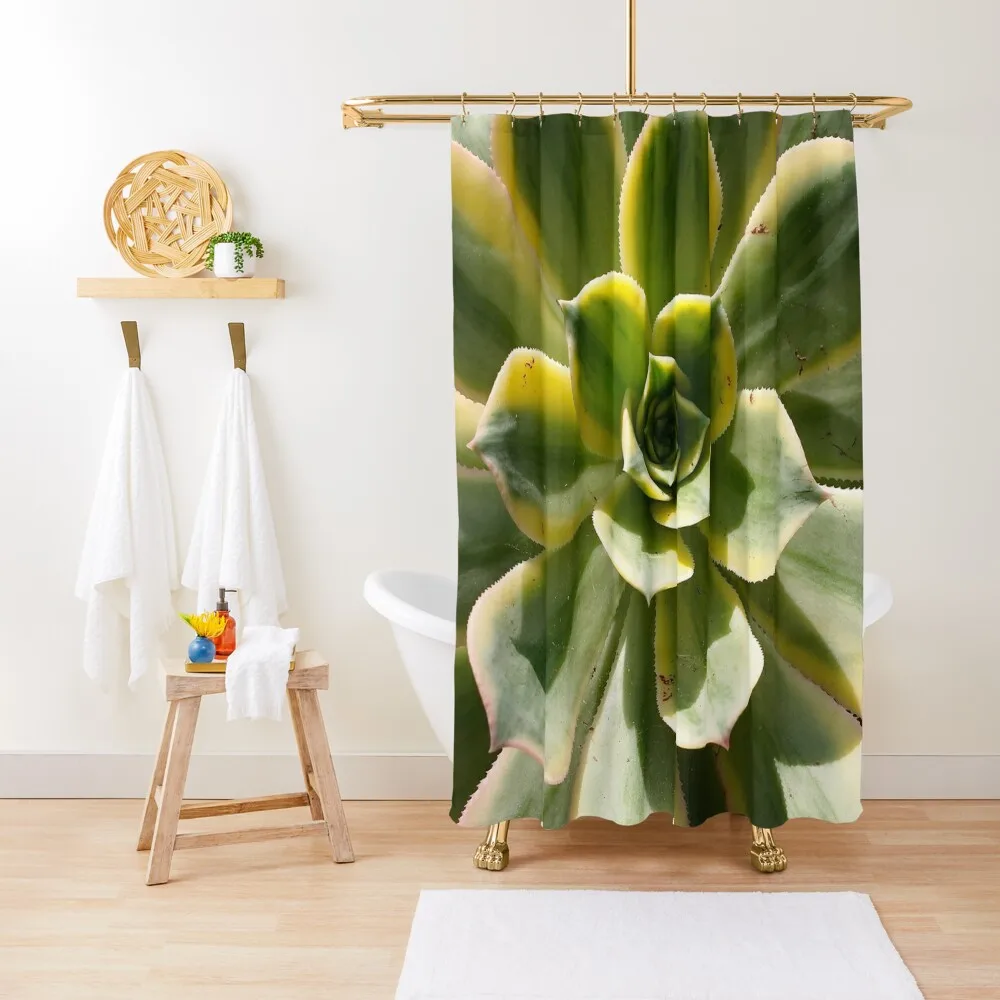 

Echeveria In The Sun Shower Curtain Bathroom Accessory Shower Set Bathroom Fabric Waterproof Bathroom Shower Curtain