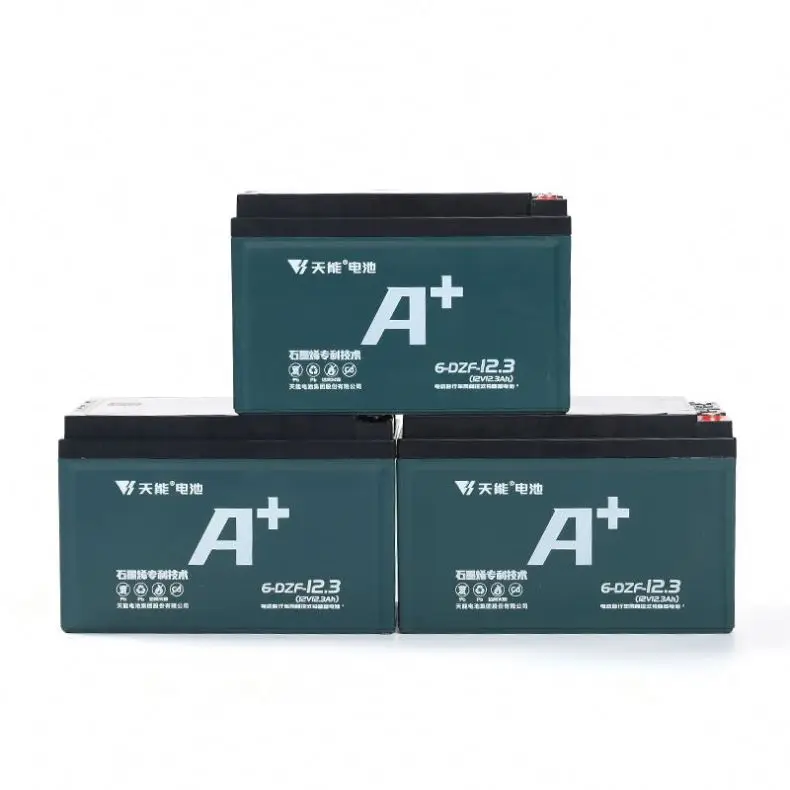 Hot Sale Factory Electric Bicycle Battery 48v 12.3ah Electric Bicycle Lead Acid Battery Pack