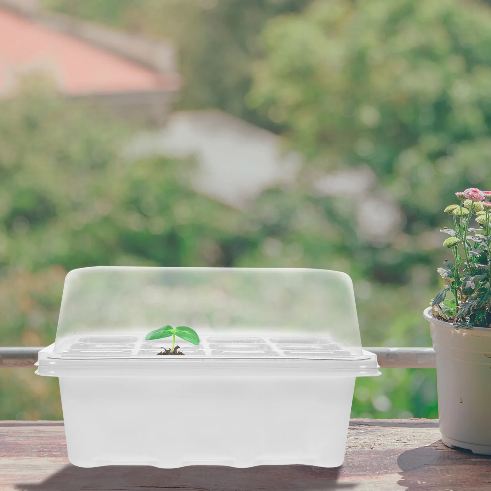 

1 set Seedling Trays Kit 5 White Bottom Transparent Pots 10 Plant Labels Indoor Gardening Flowerpot Microgreens Growing Trays