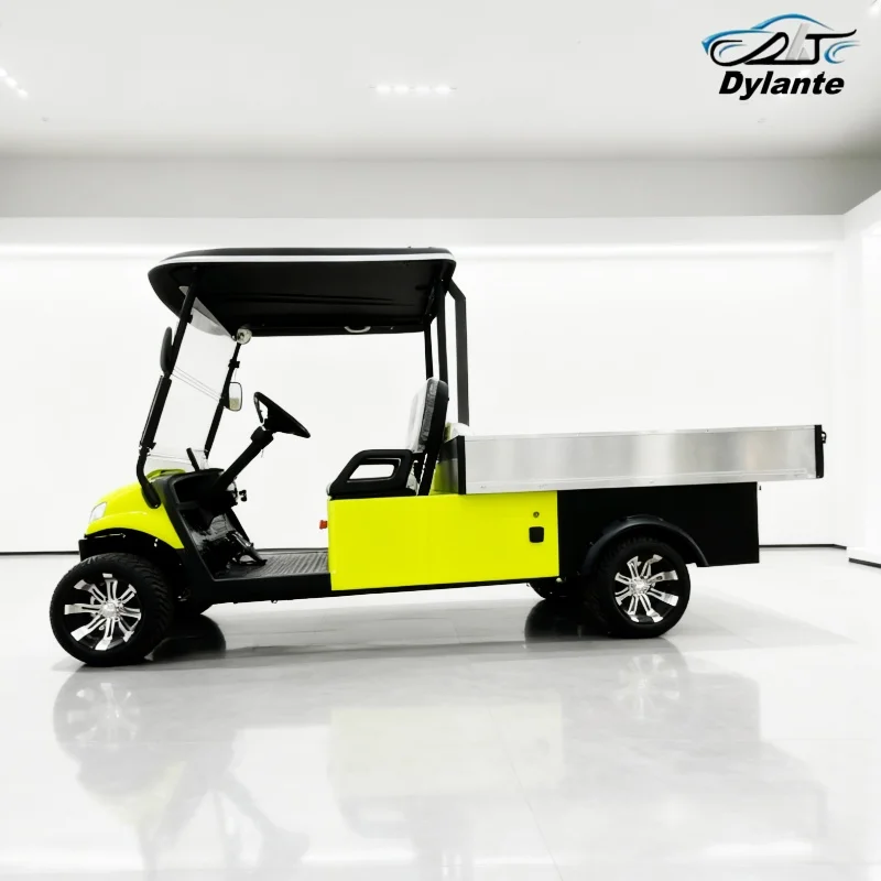 Wholesale 2 Seater 4KW 5KW Utility Mini Hunting Electric Golf Cart Street Legal 72V Lithium Battery With Golf Bag Rain Cover
