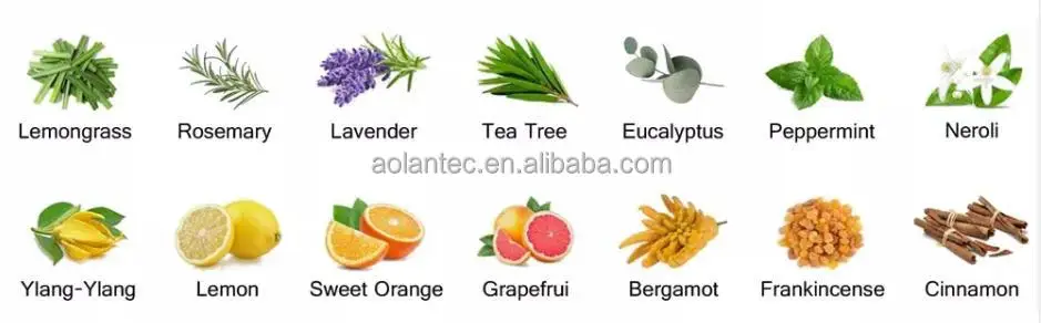 Steam Essential Oil Distilled Distillation Distiller Machine For Aroma Herbs Chamomile Flower Herb Elemi Resin Lime Lemon