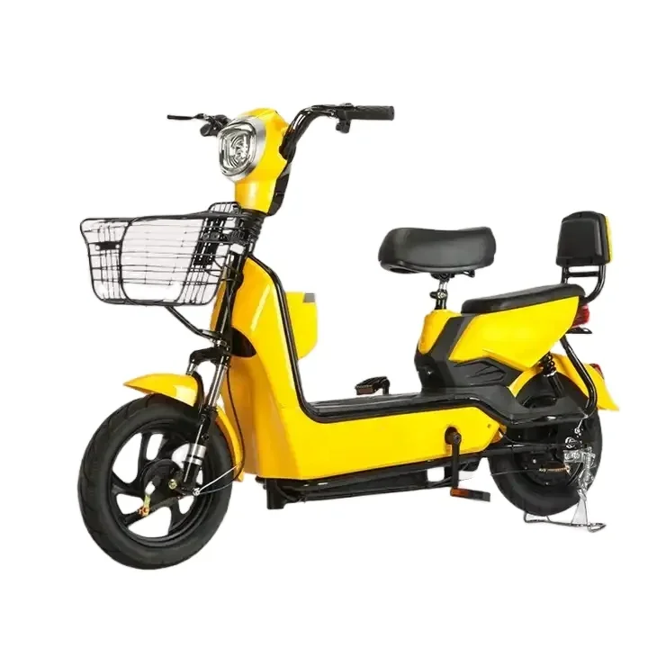 Factory Direct 48v 12a Electric Bicycle Classic Design Urban Two-Seater with Steel Frame Cheap Chinese Model