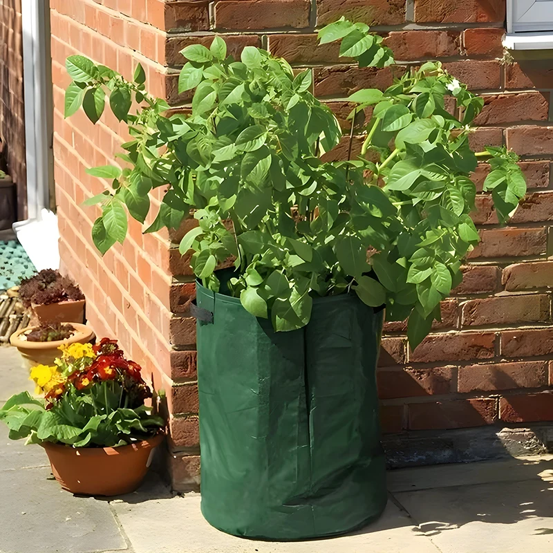 PE Vegetable Grow Bag Potato Tomato Planting Pot Garden Breathable Cultivation Bag Yard Planters Planting Support