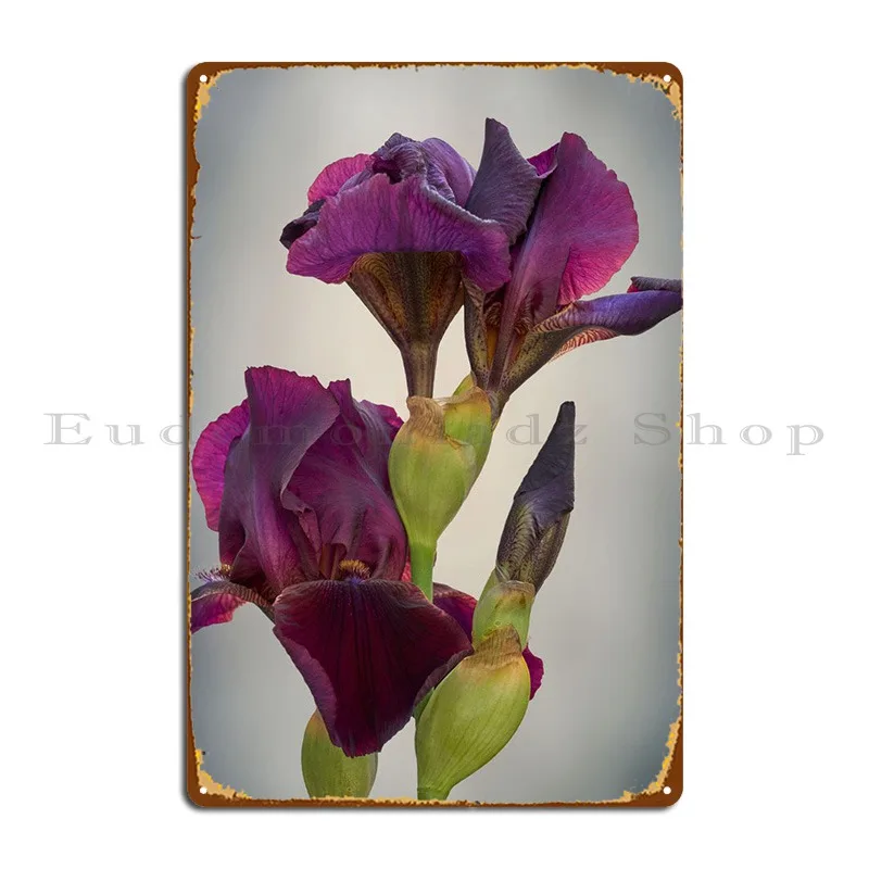 Iris Gladiolus In Bloom Metal Plaque Poster Cinema Party Wall Decor Designer Mural Tin Sign Poster