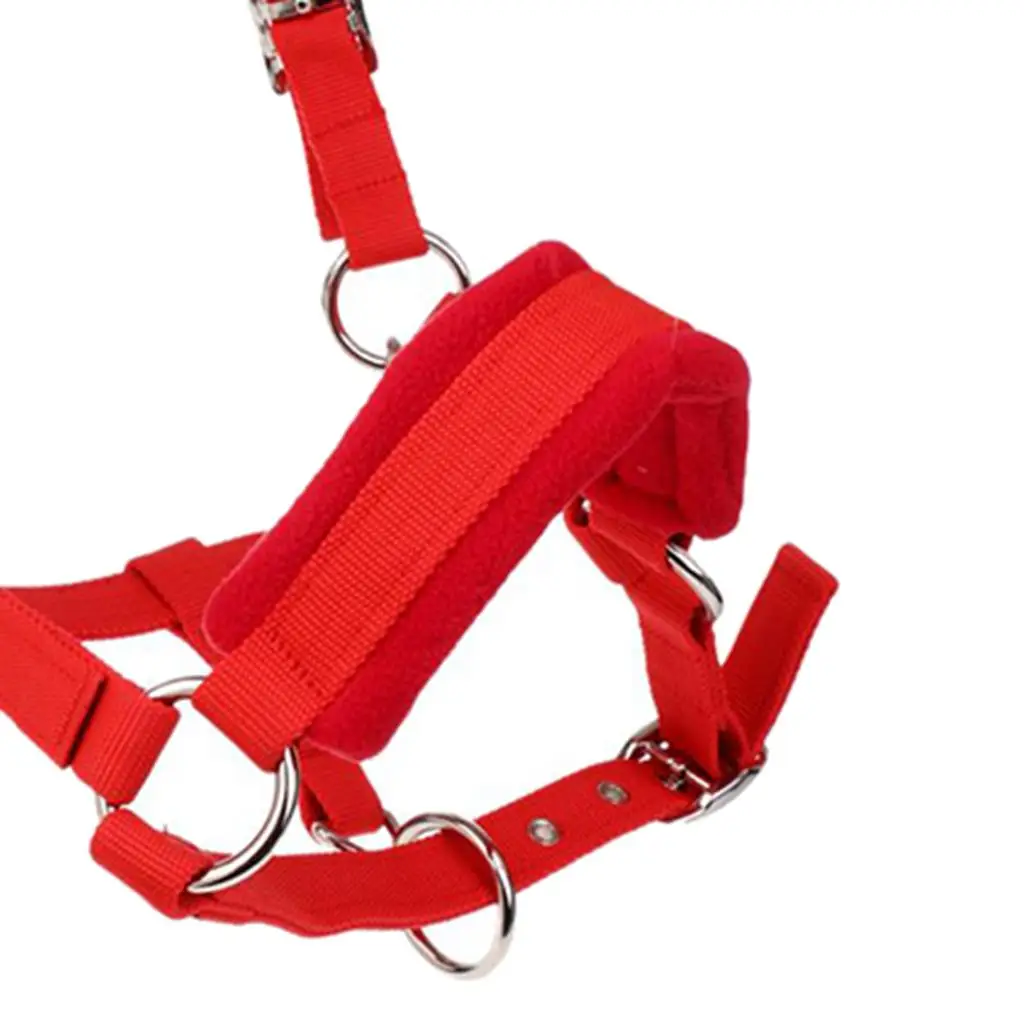 Premium Soft Thicken Cob Horse Halter Rein Equestrian Head Collar Protective