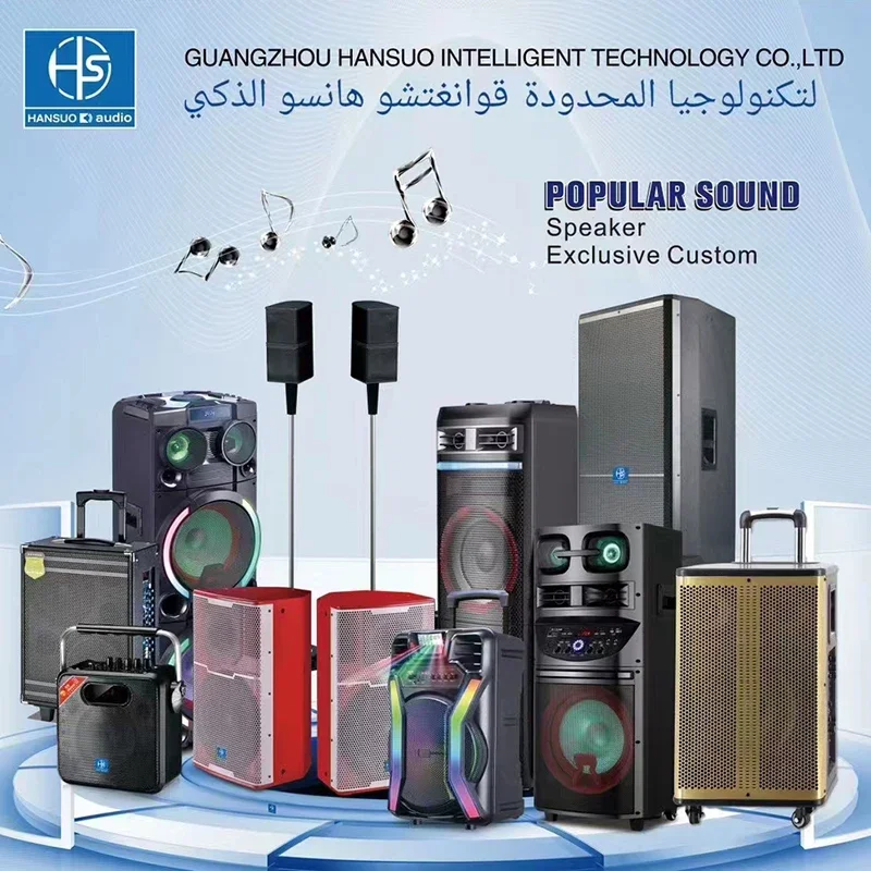 Treble Subwoofer da 10 pollici sistema Audio professionale Super Sound Box altoparlanti per feste Dj coppia Box HS-TD10E9