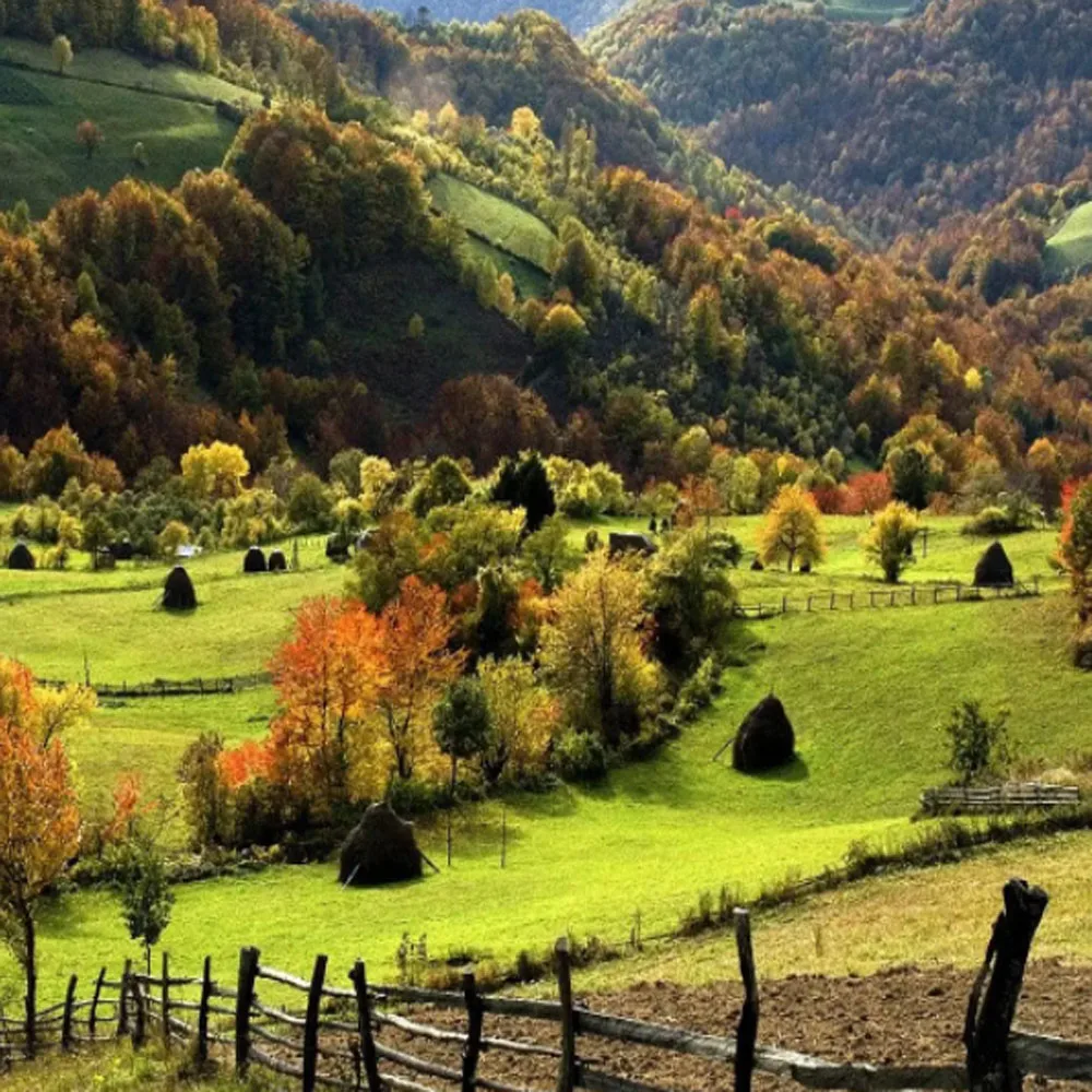 

Устройство сброса чипа для BCI570 BCI571, устройство сброса чипа Canon BCI-570 BCI-571, 100, сброс раз