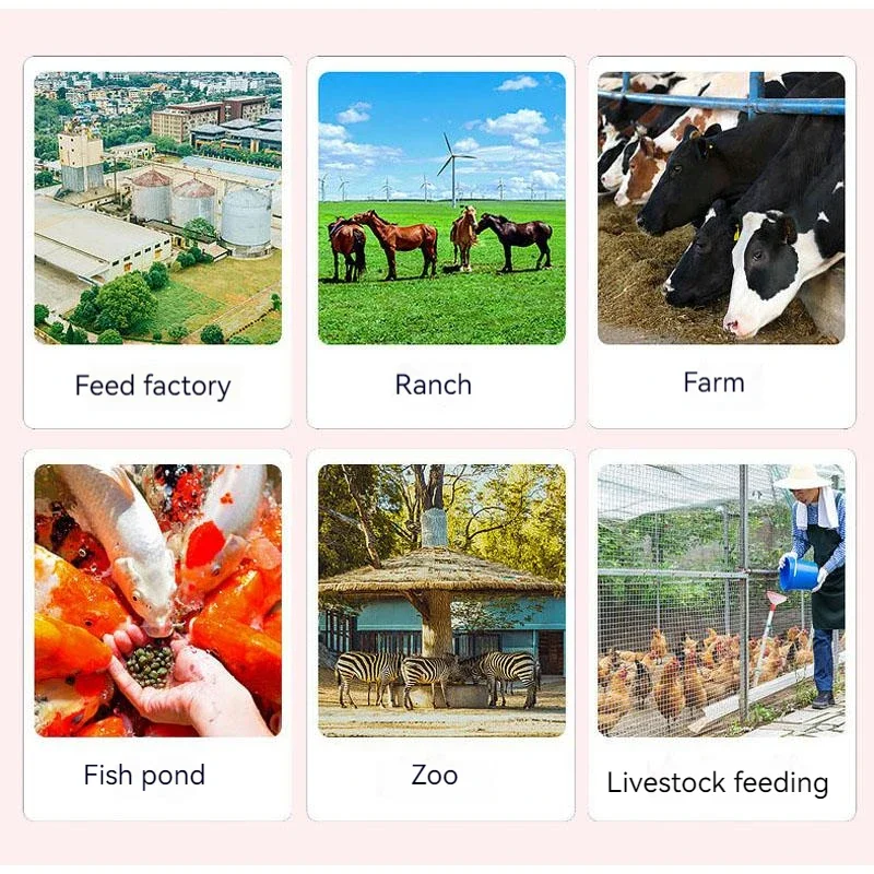تغذية بيليه آلة الرطب والجاف الاستخدام المزدوج التلقائي بالكامل تربية الدجاج البط الأسماك خنزير الأبقار الأغنام الخ المنزلية المحبب