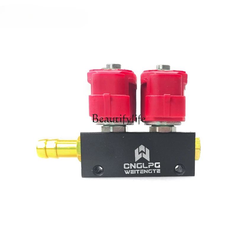 

Spray rail 2 cylinder 2 cylinder natural gas oil to gas modified gas car parts accessories