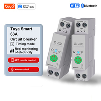 Tuya WiFi Smart Circuit Breaker 1P+N 63A Timer Power Energy kWh Voltage Current Meter Protector Voice Remote Control Switch