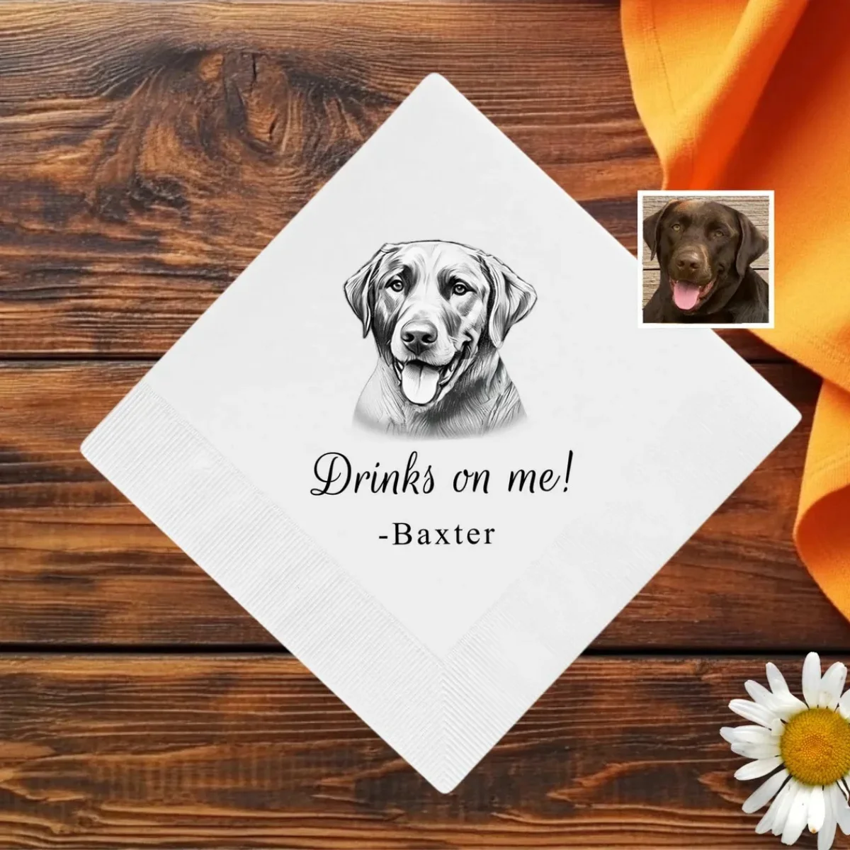 50Pcs Dog Cocktail …