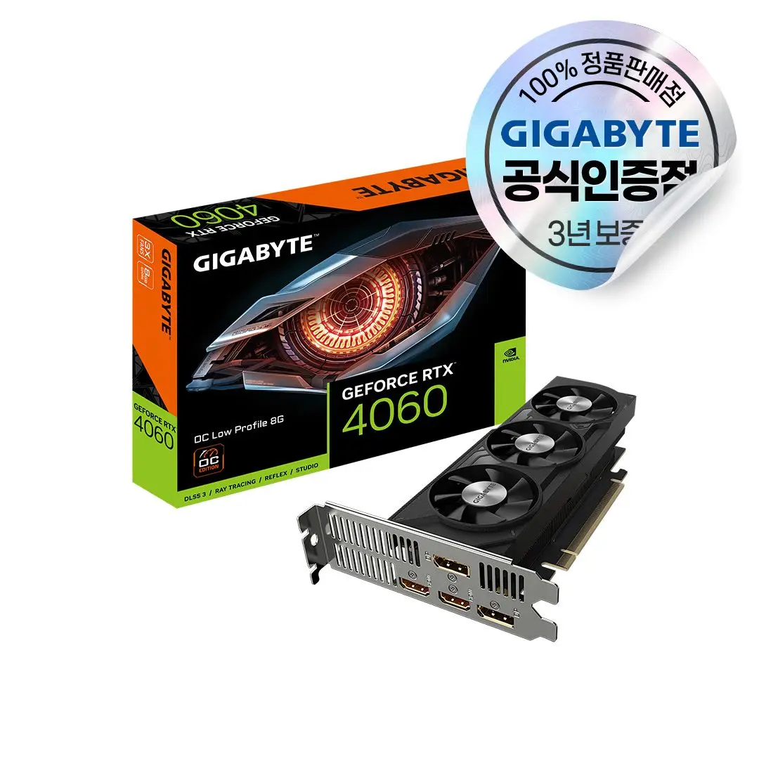 GIGABYTE GeForce RTX 4060 UD2 OC D6 8GB Nano LP Pi Direct