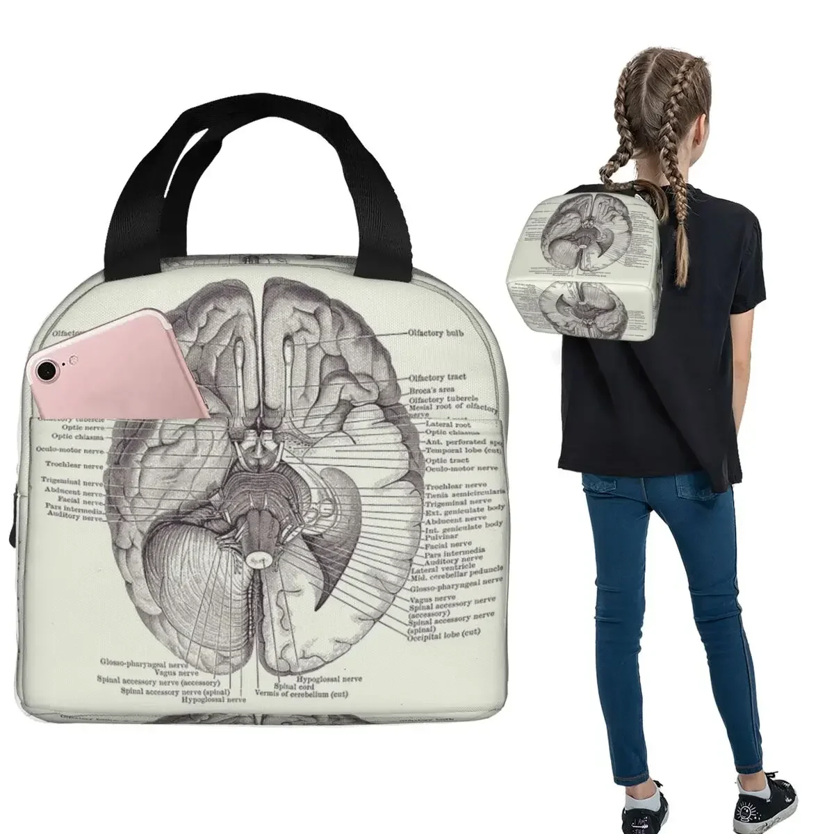 Brain Nervous System Diagram - Vintage Anatomy Insulated Lunch Bag for Women Children Food Boxes Thermal Lunch Box Tote