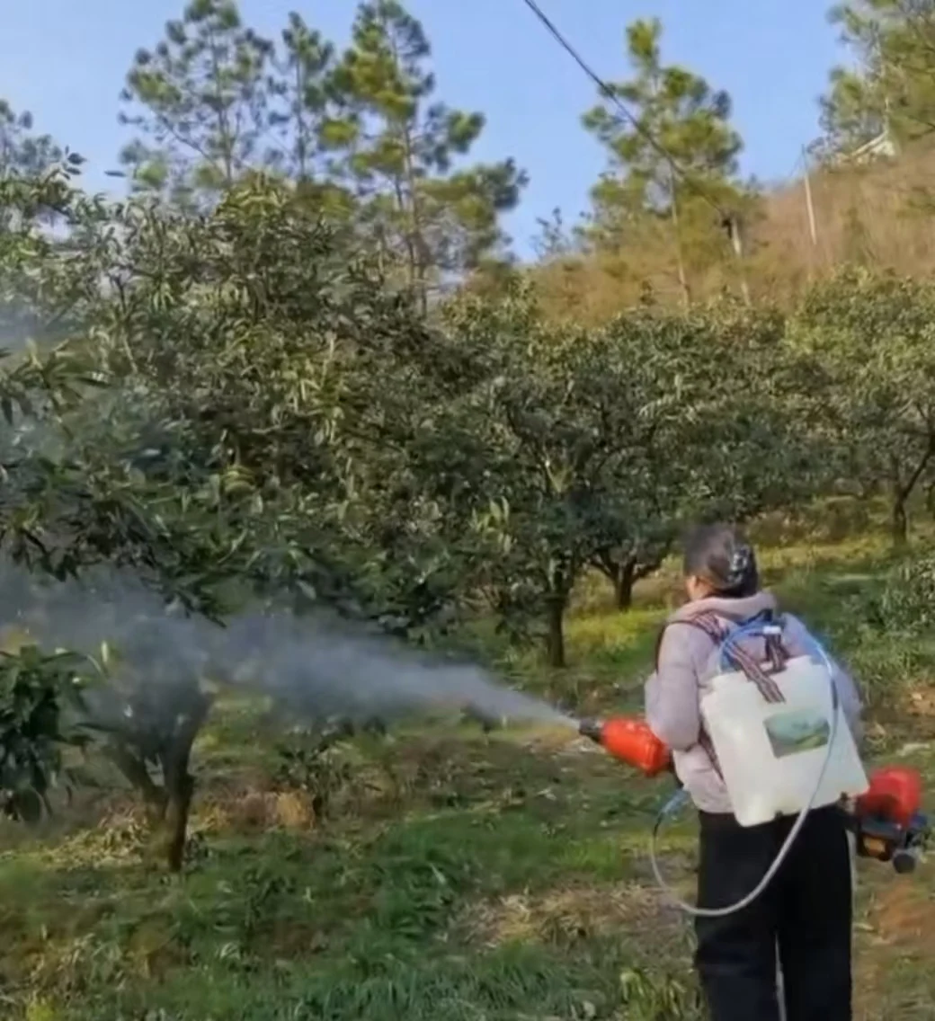 

Highly Recommended Efficient Electric Garden Sprayer Machine for Irrigation and Blower Power Tools for Agriculture Gardening