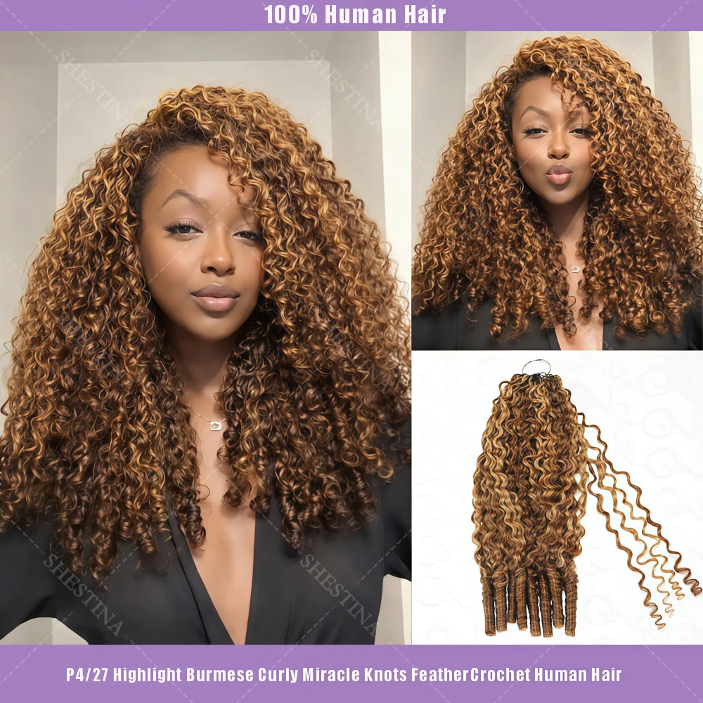 Burmese Curly Croch…