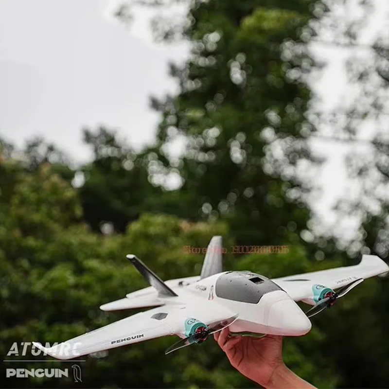 Atomrc Penguin Set doble motor baja altitud transversal FPV ala fija Control remoto avión modelo portátil juguete para niños