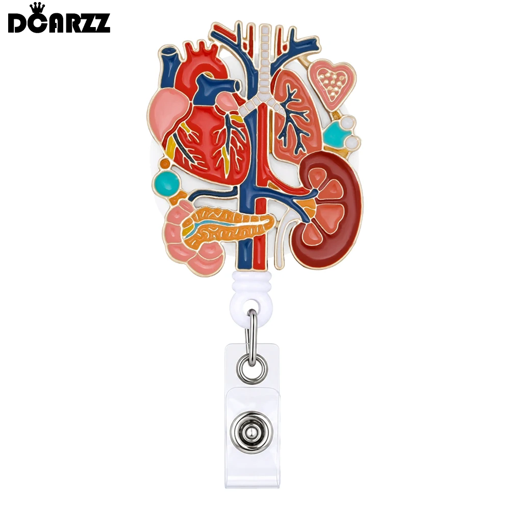 Medical Anatomical Badge Reel Retractable Anatomy Enamel Badge Holder Clip for Nurse Doctor Human Body Heart Lung Kidney Design
