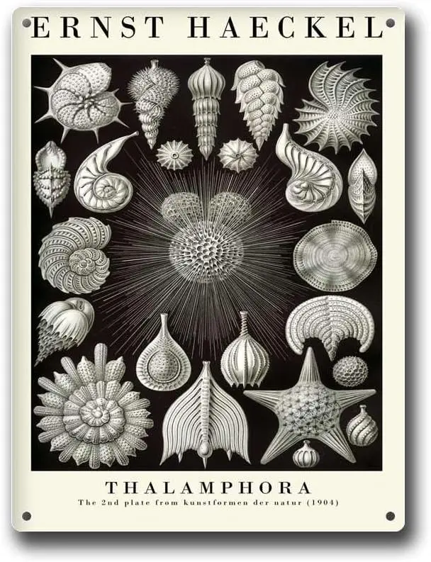 Metal Tin Signs Natural Art Forms of Thalamphora (1904) Gallery Home Wall Decor  Sign-aluminum sign