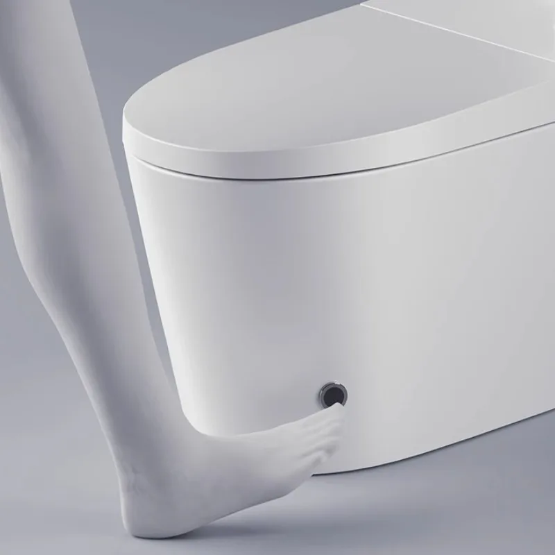Pembersih Toilet Jepang Smart Toilet Lantai Sanitasi Minimalis Estetis Smart Toilet Dewasa Unik Suchy Syfon Perabot Rumah Tangga