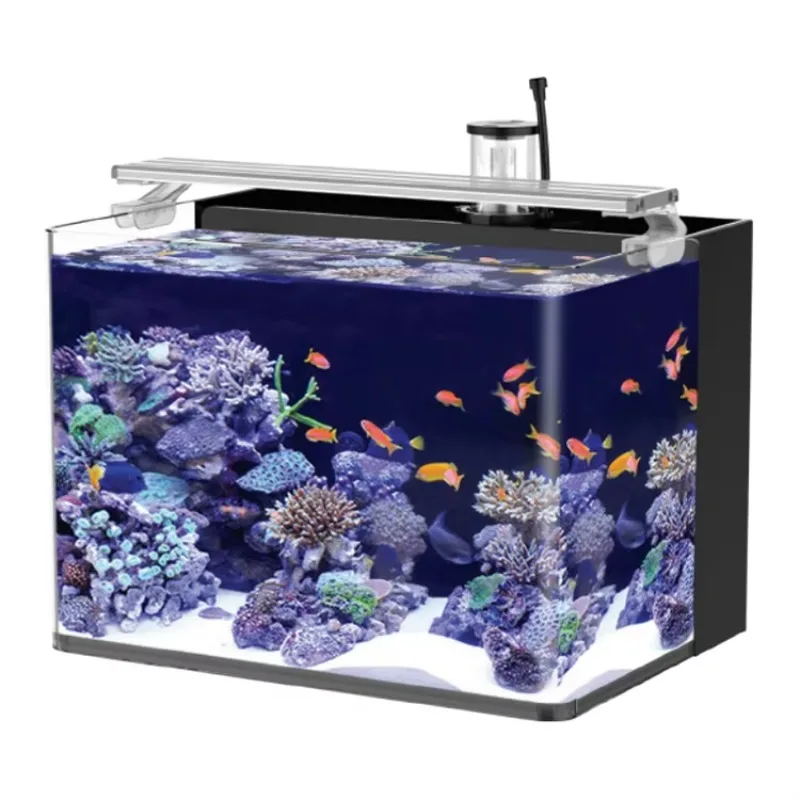 

Table Curved Saltwater Marine Fish Tank Aquarium Fish Tank for Living Room Bedroom Office with Lighting Tabletop
