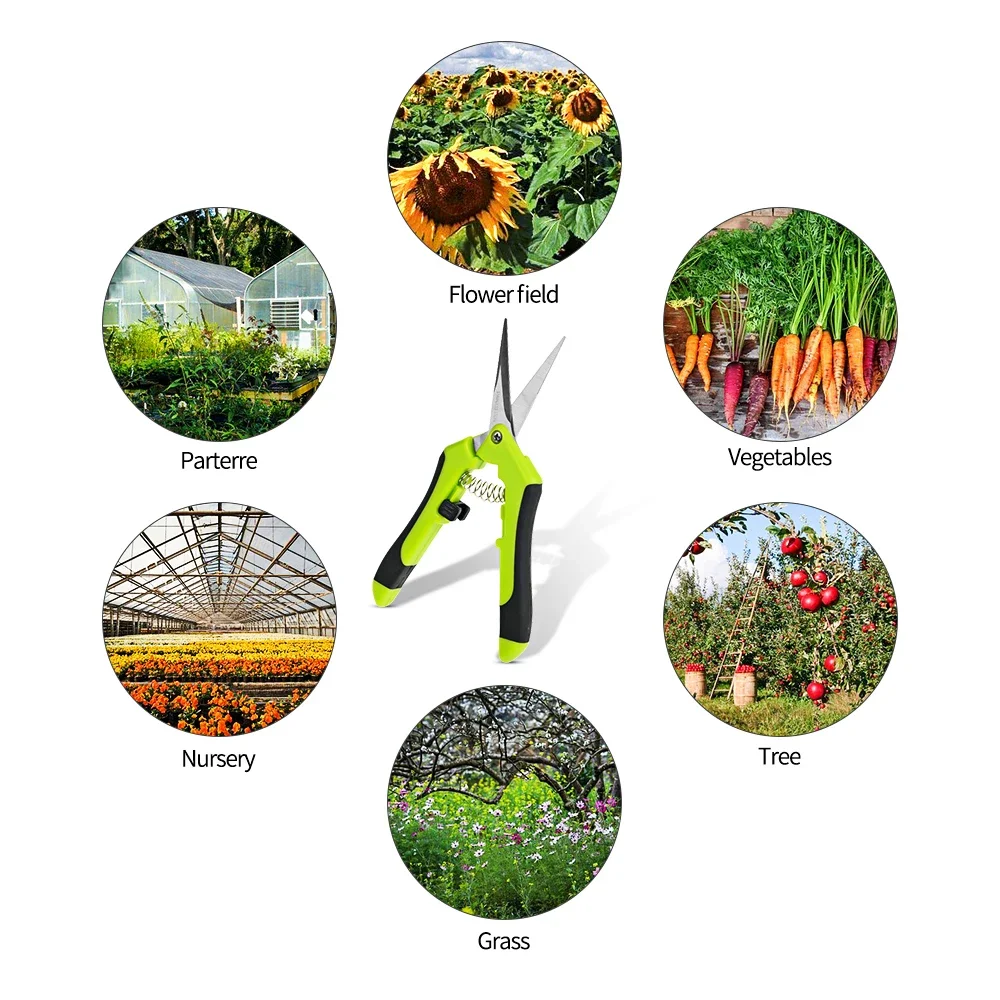 Garden Pruning Shears Stainless Steel Plants Fruit Grape Picking Scissors Horticulture Leaf Trimmer Straight Elbow Pruning Tools