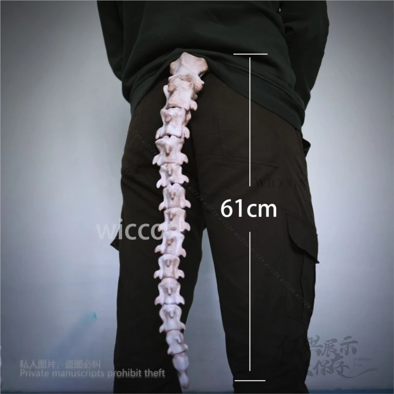 

[Cos C COS] Anime Halloween Skeleton Bone Tail Cosplay Accessory Animal Tail Pendant Game Costume Party Decoration Roleplay