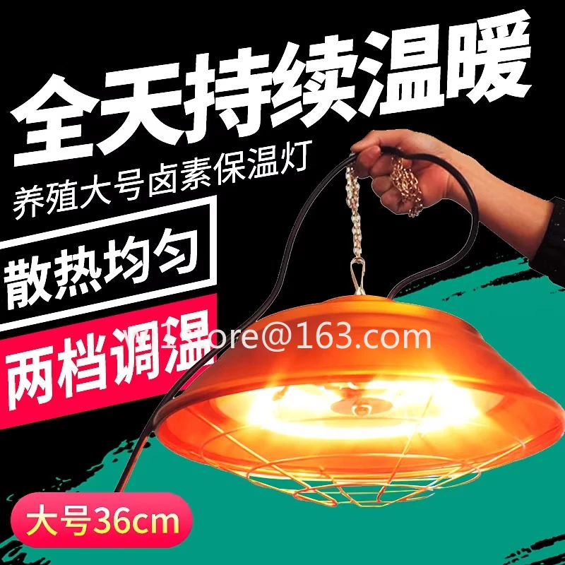 Increase the halogen insulation lamp for farm heating lamps and veterinary temperature control heating lamps by 36cm