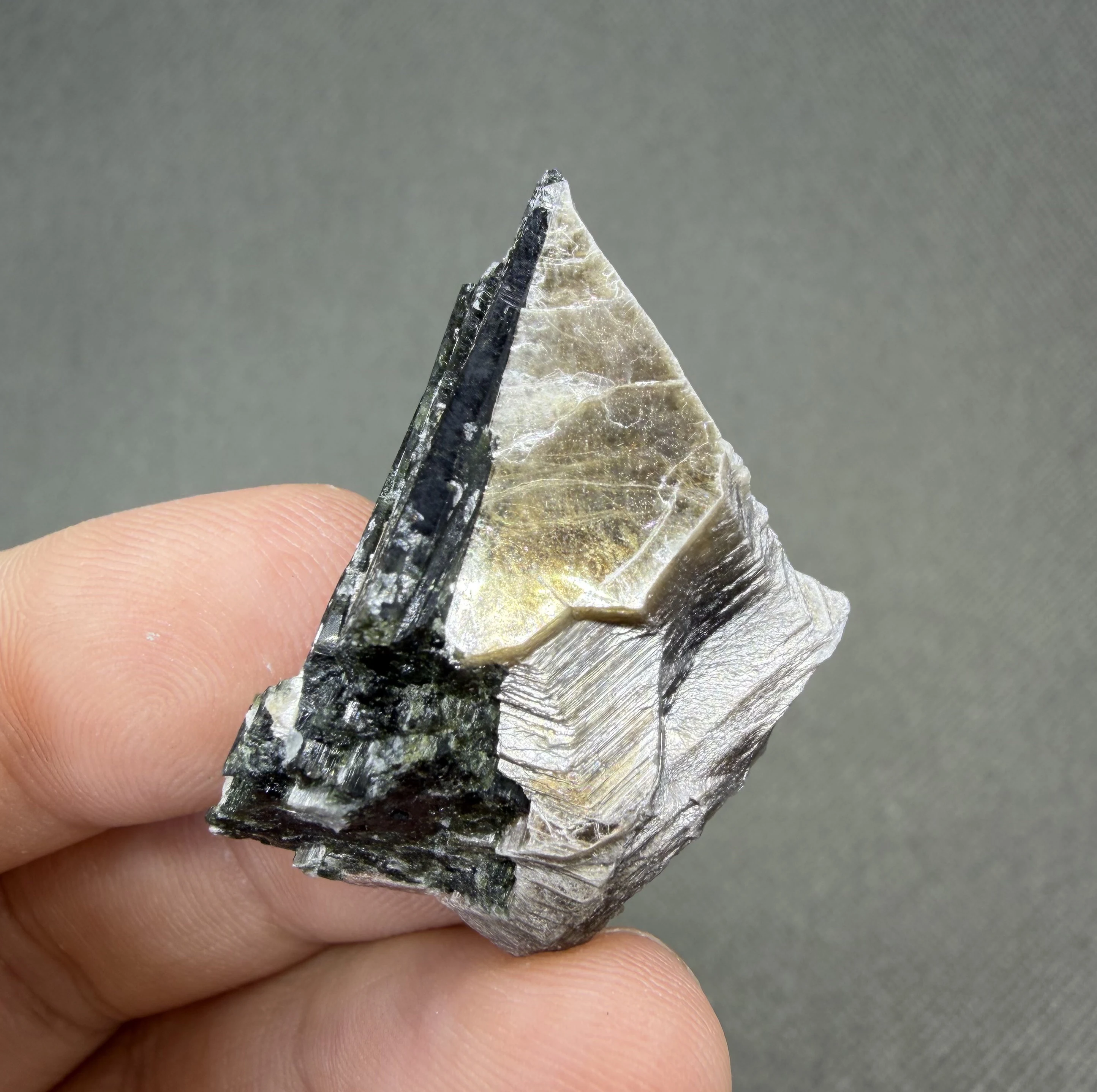 10 g Natural Golden Phlogopite Mica with Tourmaline Gold Flakes Specimen