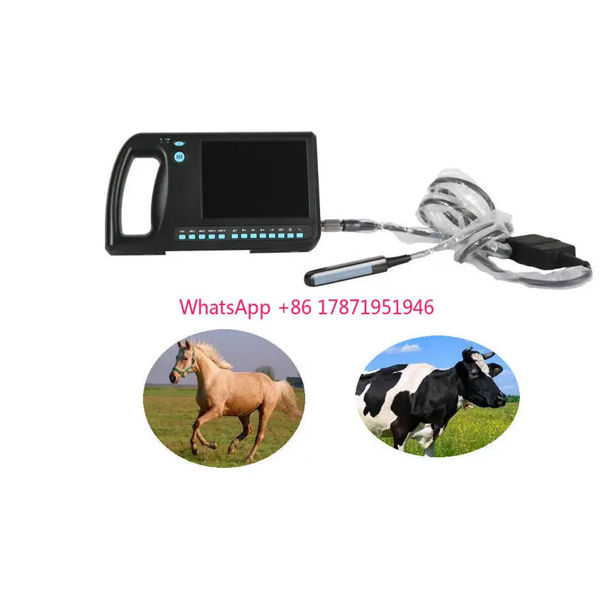 

Animal Instrument Wireless Rectal Linear Probe Pet Veterinary Ultrasound For Horse Pig Sheep Cow