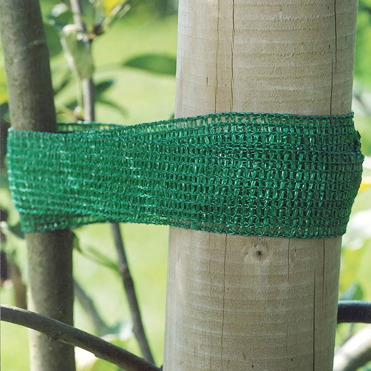 

5pcs Garden Tie For Staking 3 Meter Tree Tie Strap Plant Support For Shrubs Flowers Green Wide Durable Plant Ties