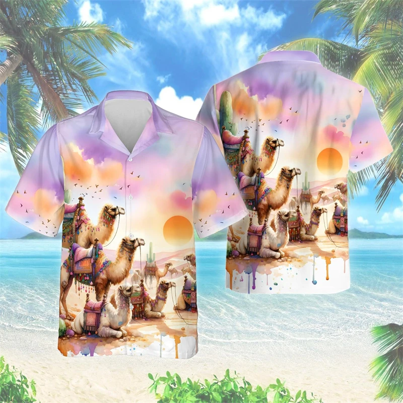 Shirts-PZMT40481