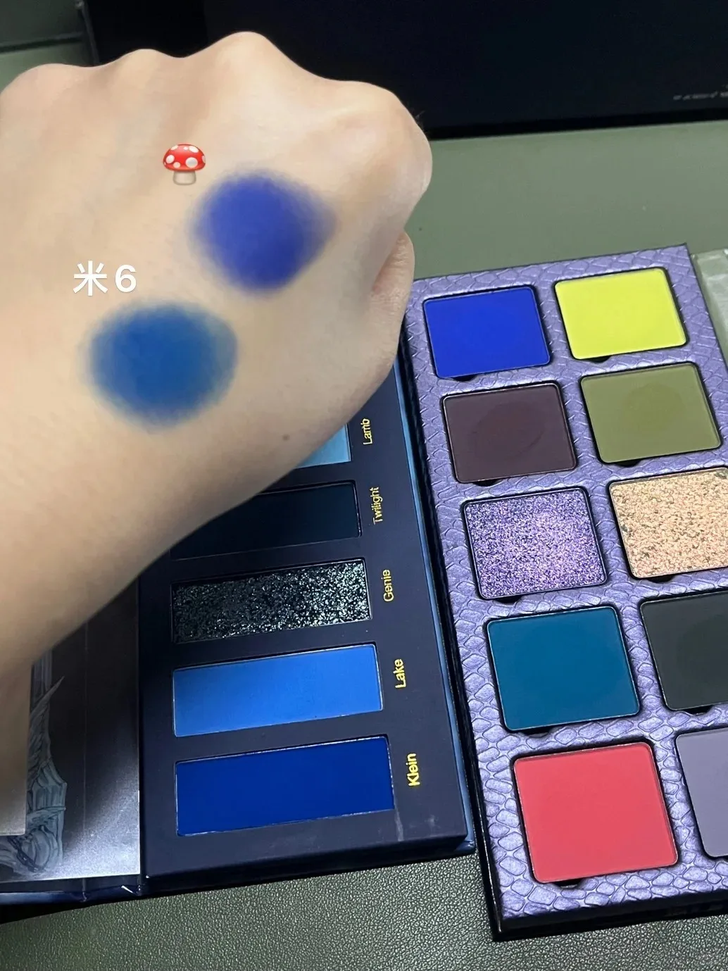 DRAMO Old Mushroom Co-name Y2K 10 ألوان ظلال عيون غير لامعة لامعة الحرباء لوحة ظلال عيون أخضر أصفر مكياج عيون