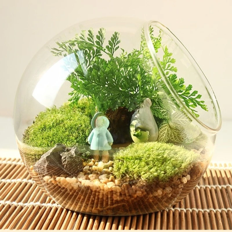 Micro Landscape Oblique Glass Vase, Moss, Succulent DIY Ecological Bottle, Crystal Glass Home Accessories