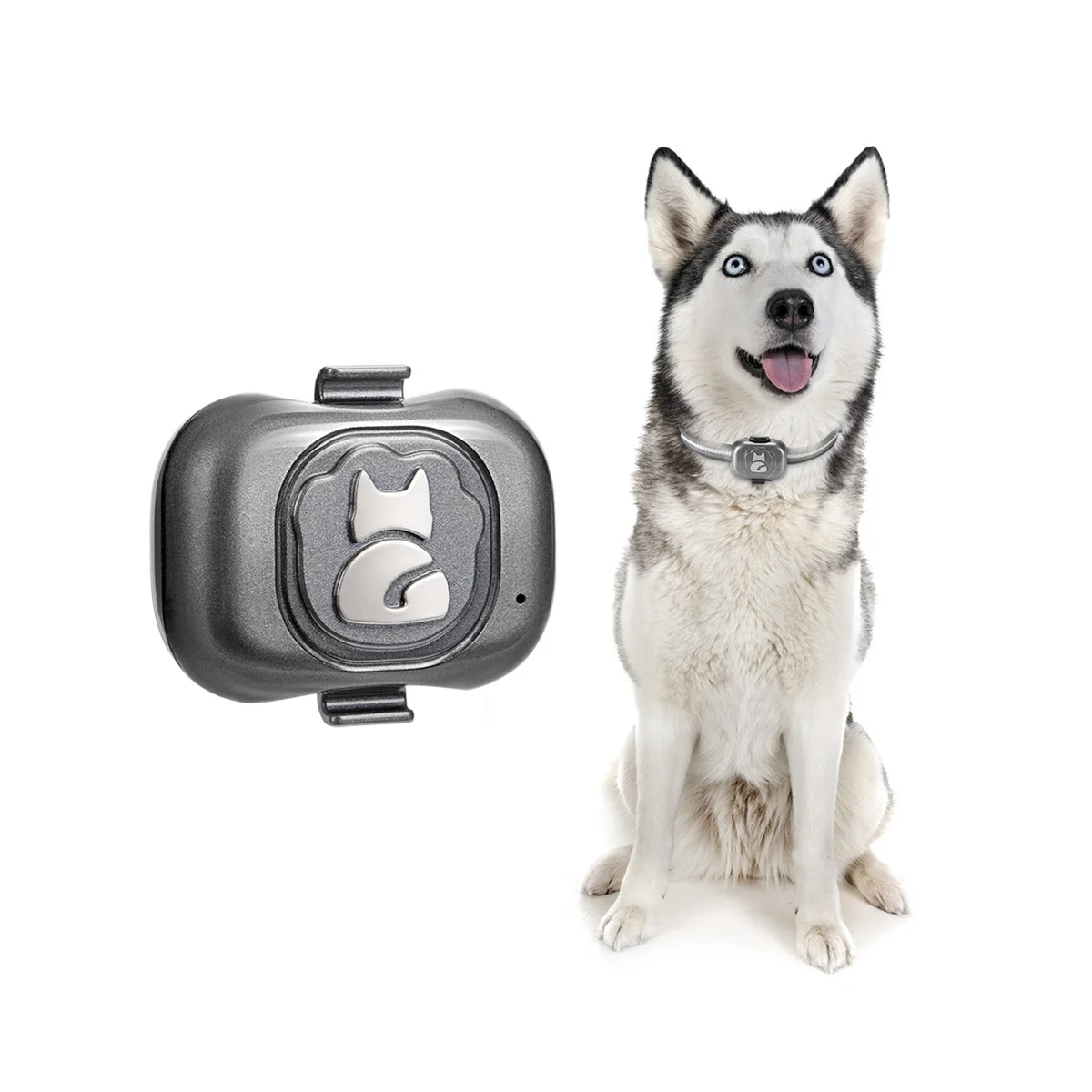 4G Gps Tracker for Dog Locator Waterproof Anti-Lost Device Smart Phone Object Finder Small Alarm Pet Anti-Theft