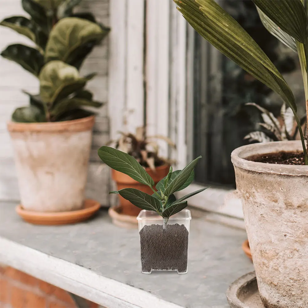 4 قطعة مزارعي الأوركيد واضحة الاكريليك الحضانة أواني الزهور تنفس وعاء للنباتات زراعة الأوركيد ديكور حديقة المزارعون الأواني