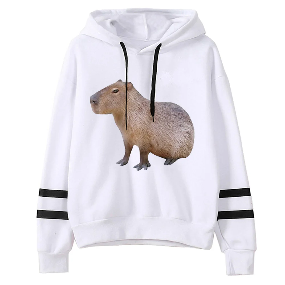 Capybara hoodie printed design patterned kawaii youthful comic harajuku female pullover trendy youthful Japanese athleisure