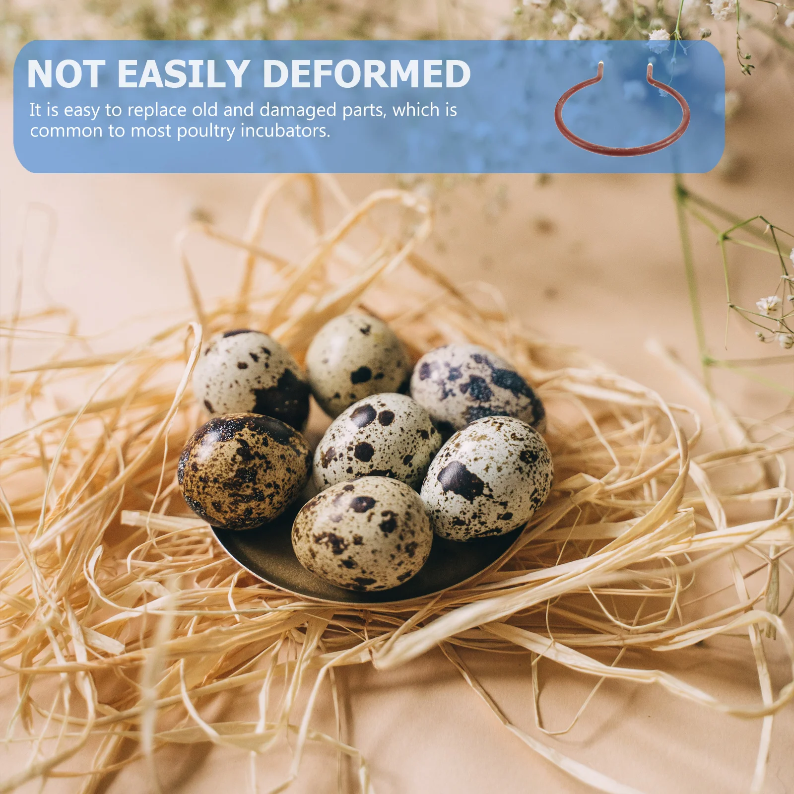 

Poultry Incubator Heater Full-Automatic Incubation Heaters Small Size Lightweight Space-Saving Creative Design Wonderful