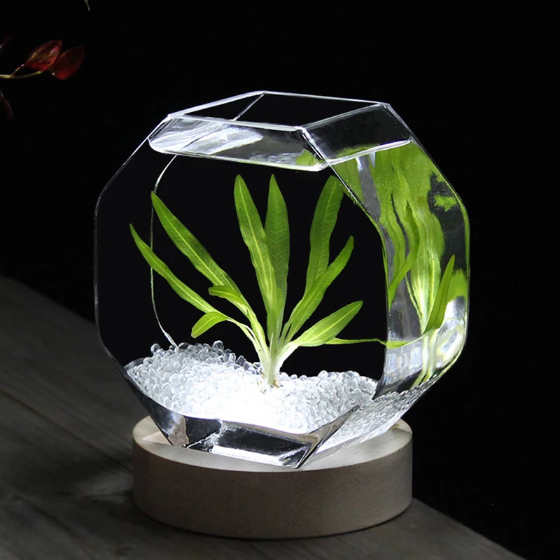 Japanese Style Originality Mini Aquariums Living Room Offices Ornament Luxury Modern Aquariums Designer Pet Products Pecera HBHD