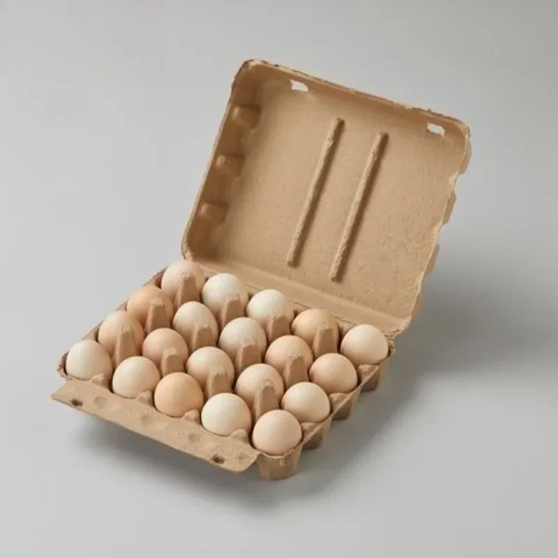 10/20pcs Disposable Egg Protection Boxes Paper Pulp Egges Tray Packaging Box Degradable Shockproof and Drop Resistant Egg Tray