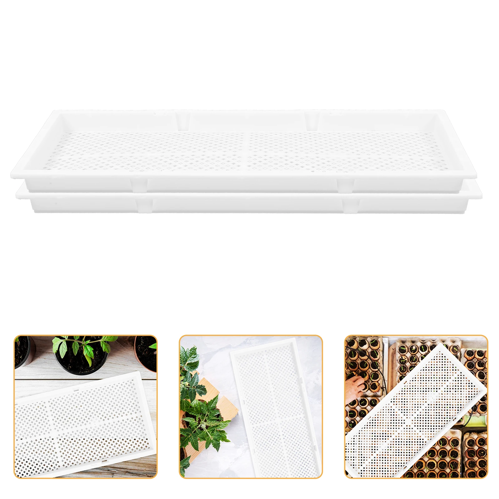 

2 Pcs Sprouts Seedling Tray Plant Nursery Pots Garden Planting Tool Gardening Germination Trays Pp Kit Flowerpot