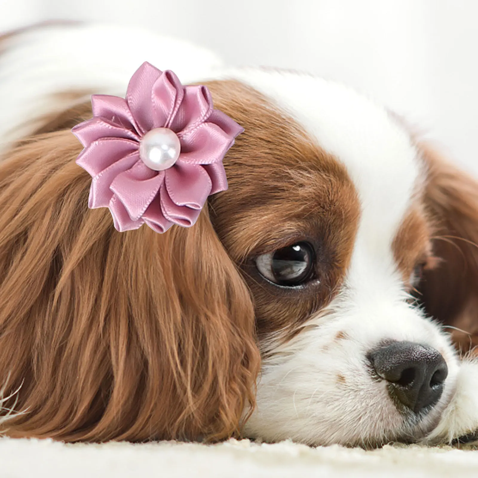 40Pcs Pet Hair Tie Flower Pearl Mixed Color Petal Design Creative Pet Hair Holder for Dogs Puppies Stylish Daily Use