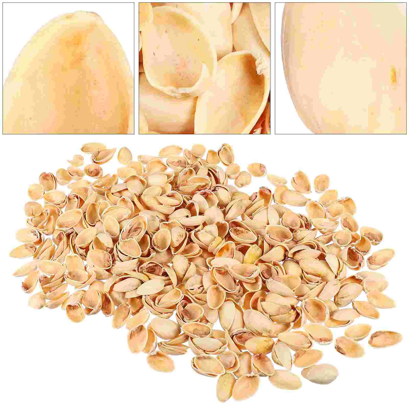 

Pistachio Shell Kids Crafts Material DIY Supplies Seashells Shelled and Accessory Handicraft Child