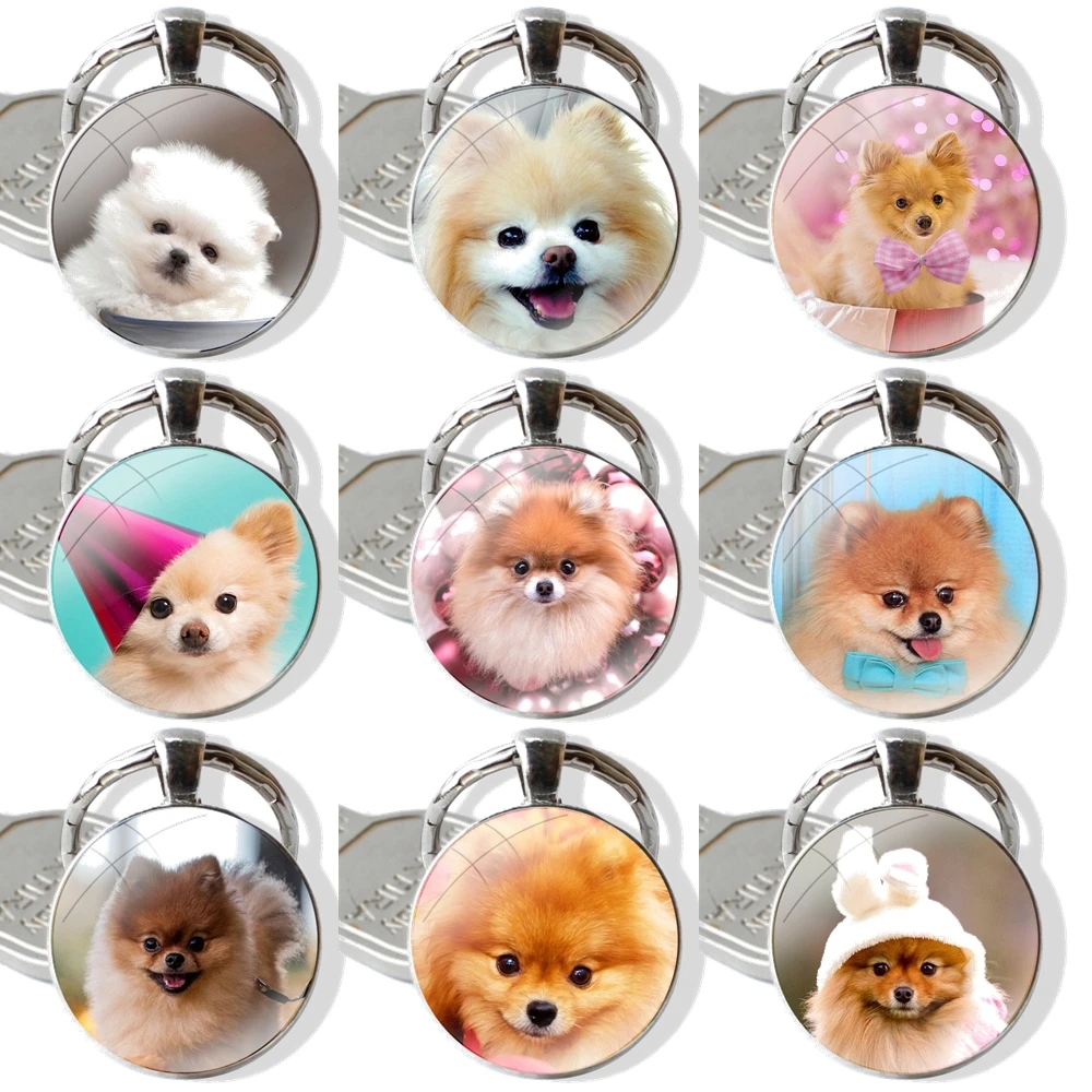 Keychain Handmade Glass Cabochon Key Ring Holder Pendant Key Chains Pomeranian dogs cute