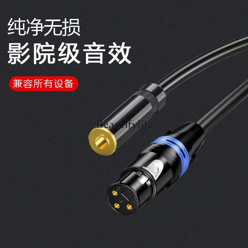 

jj4 Computer sound card connected to microphone, microphone cable, small three-core mixer, power amplifier, audio cable