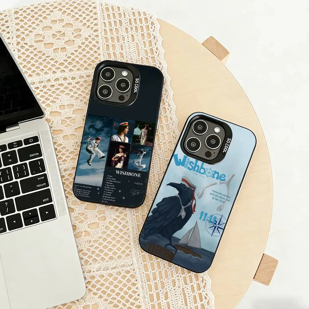 

Conan G-Gray Wishbone Phone Case For iPhone 17,16,15,14,13,12,11 Plus,Pro Max,XS,Colored silver phone case