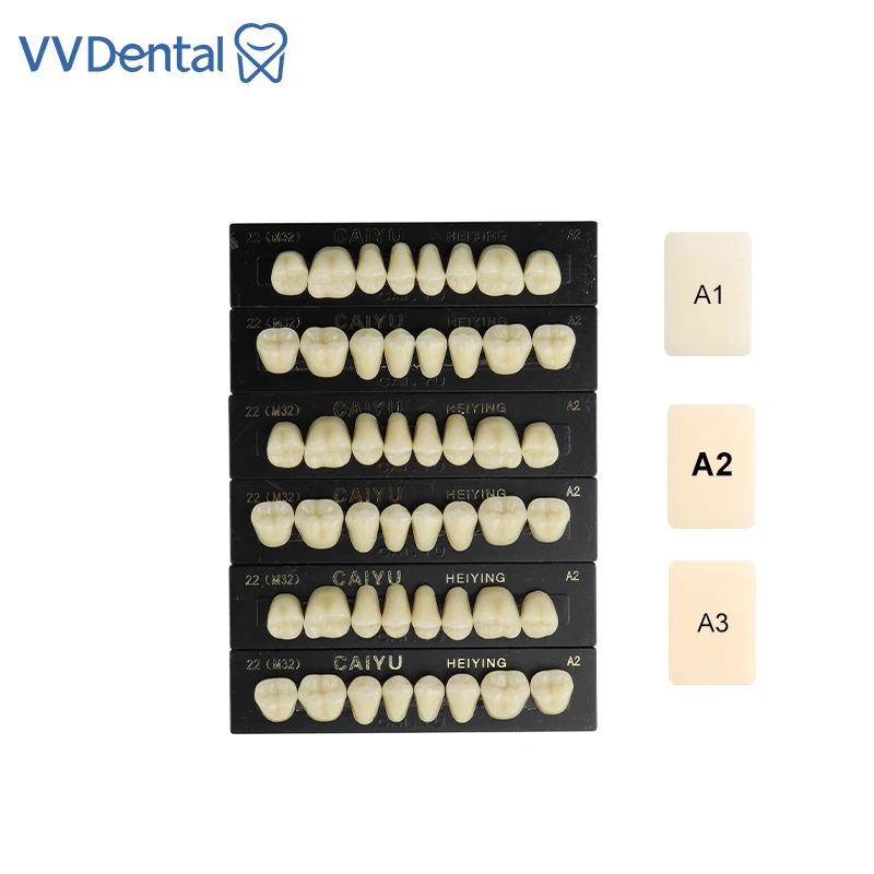 

VVDental Dental Synthetic Resin Teeth A1 A2A3 Artificial Preformed Denture Teeth for Dental Prosthesis