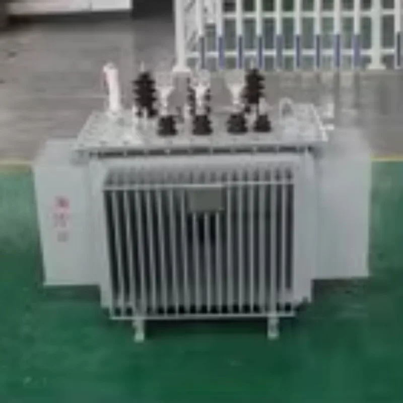 Three Phase Oil Immersed Transformer 6 10 25kV 100 125 200 400kVA Power Price Transformador