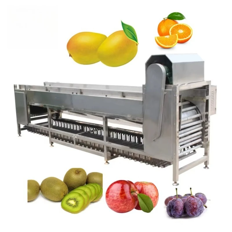 Orange Avocado Potatoes Tomato Sorting Grading Machine Multi use Roller Grader Fruit Vegetable Processing Customized